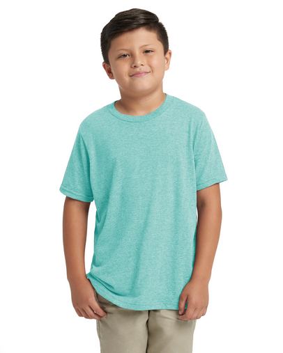 Custom Printed  Next Level Youth Triblend Crew - N6310 